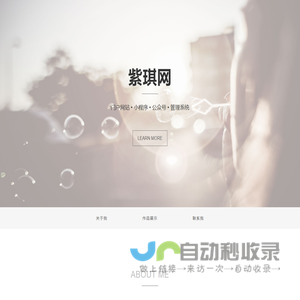 紫琪网